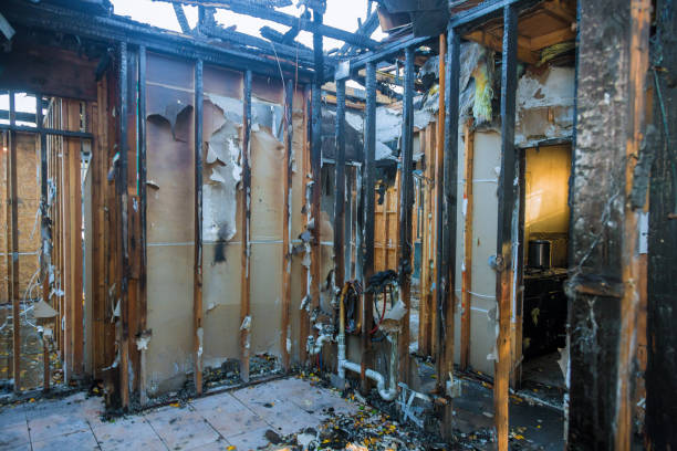 Professional Fire Damage Assessment technician working in Fair Plain, MI
